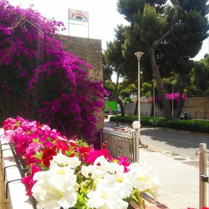 Гостиница Affittacamere Villa Arazurrina
