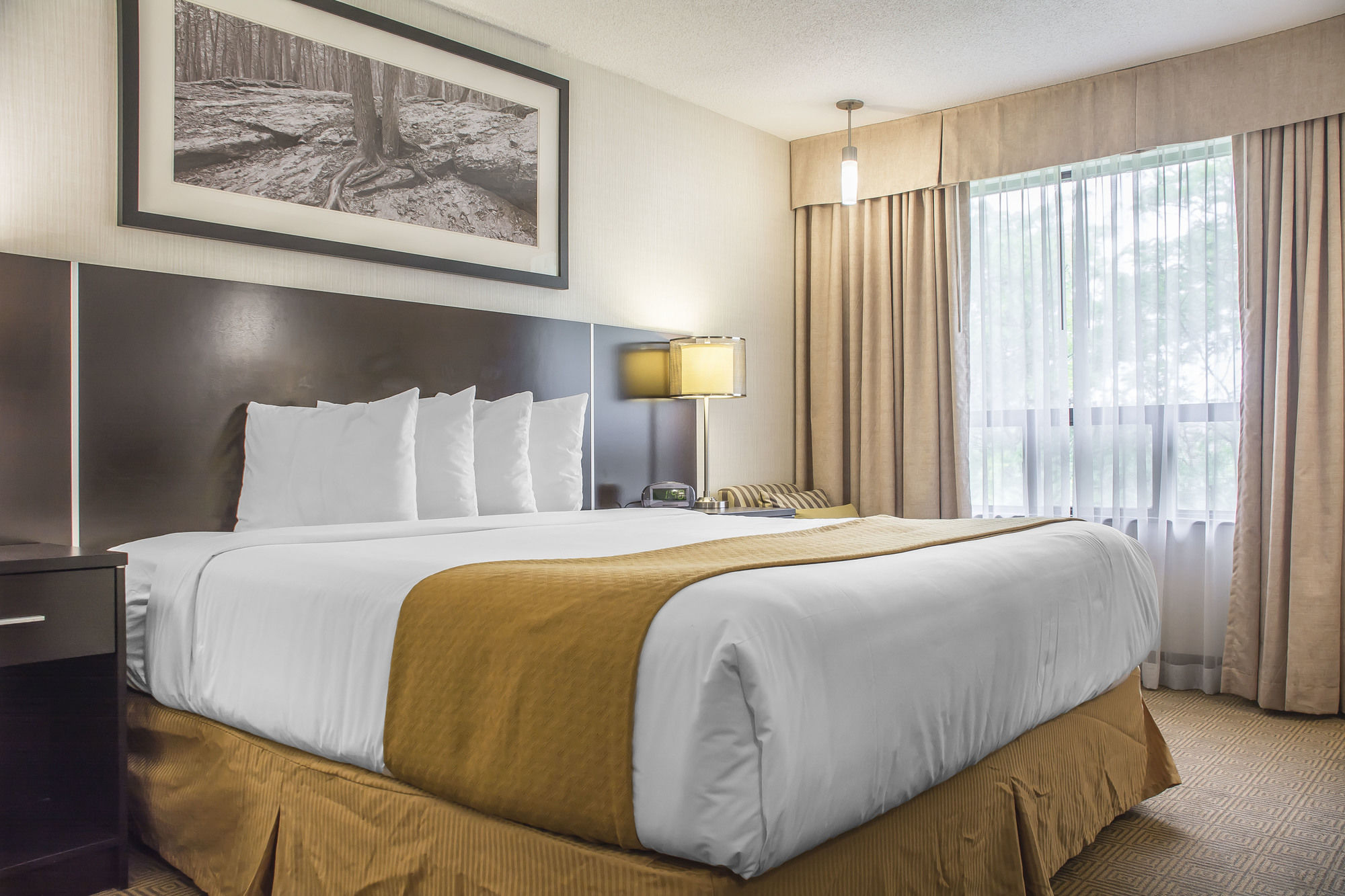 Фото Quality Hotel