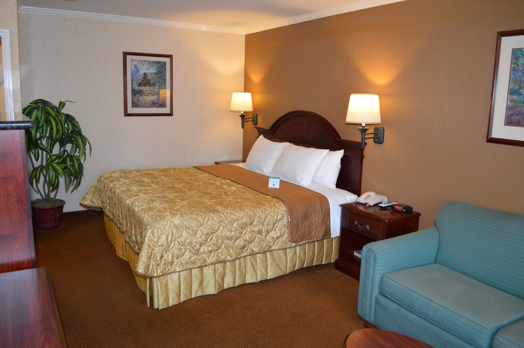 Фото Dynasty Suites Redlands