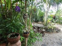 Фото Baan Por Jai