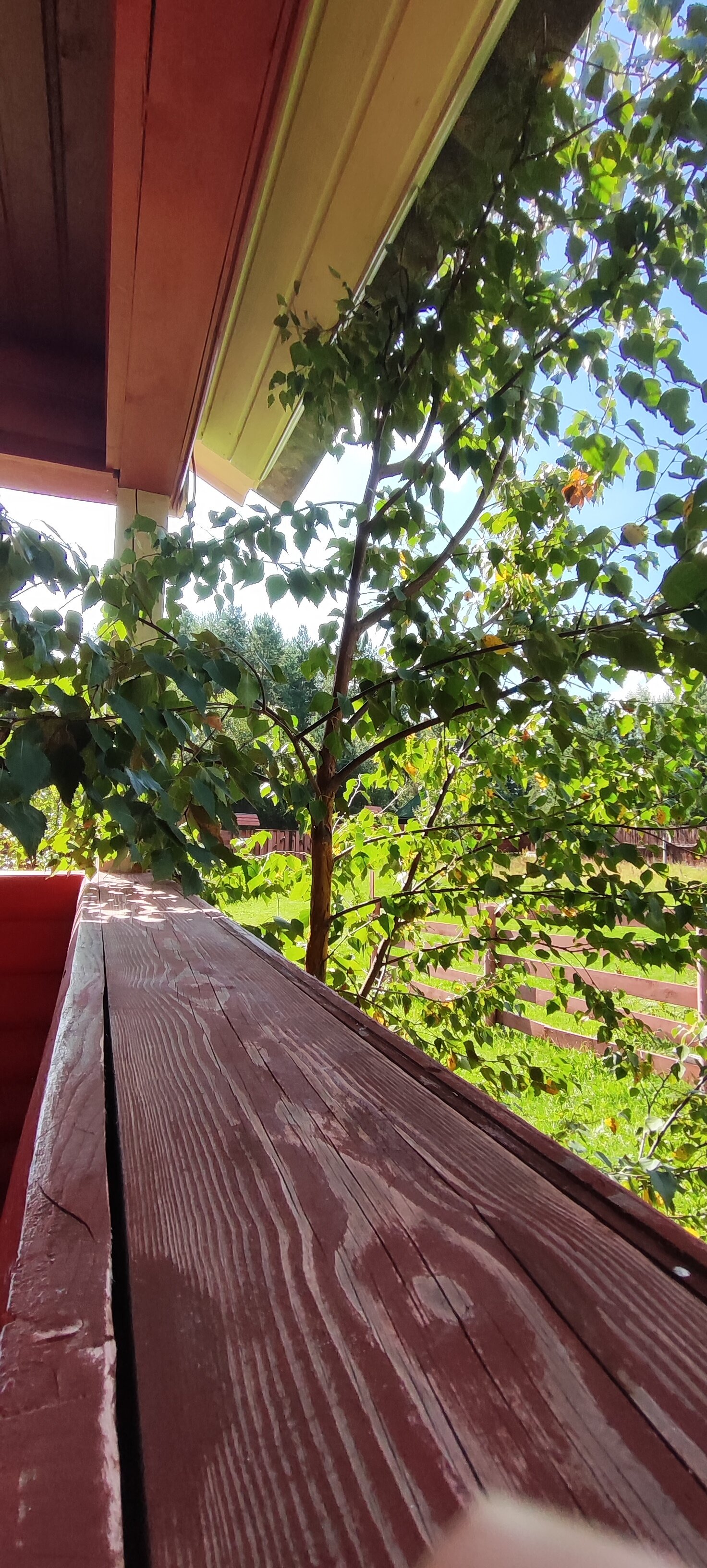 Фото Шиловка