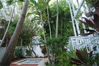 Фото Nyah Key West - Adults Only