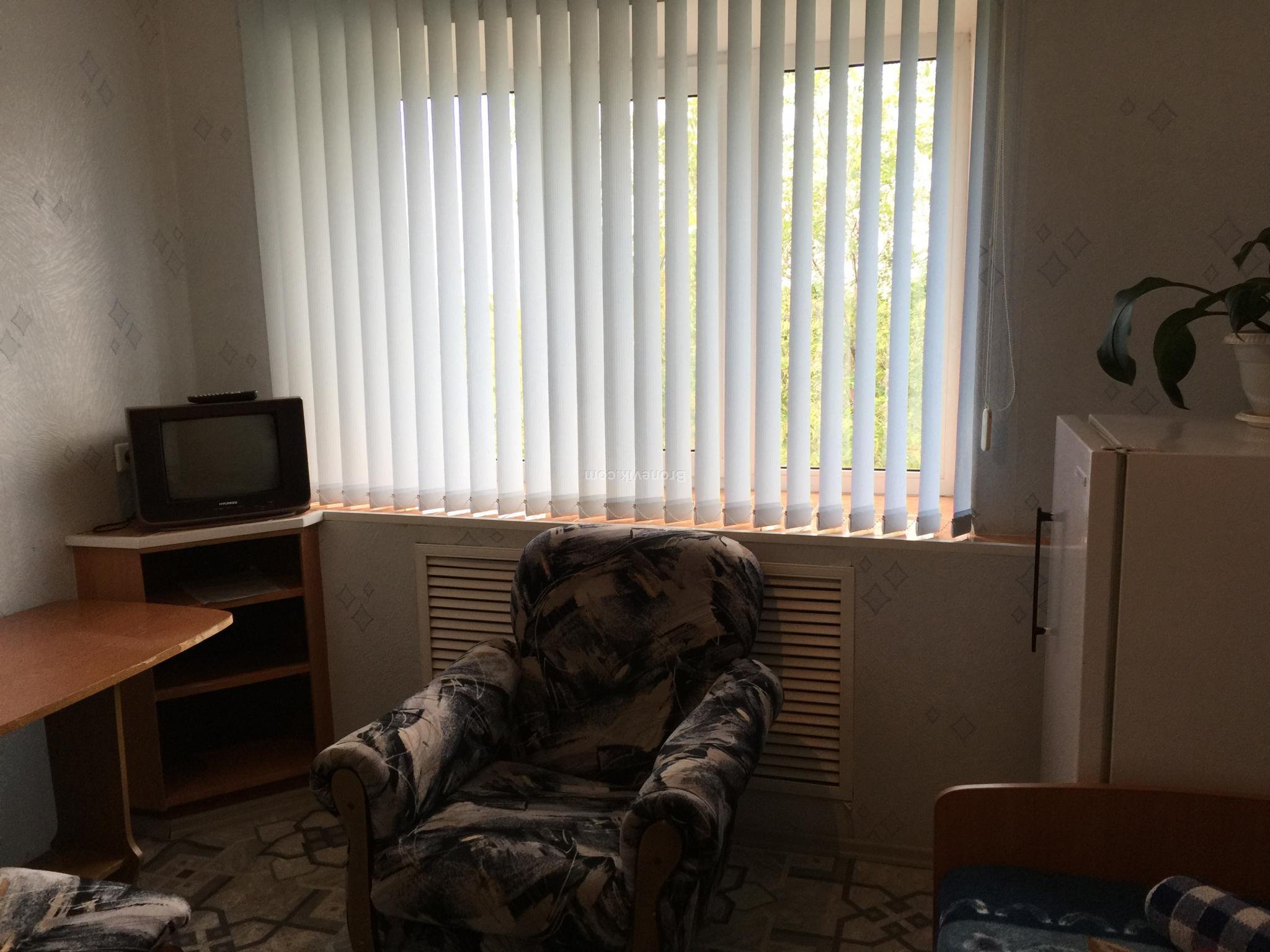 Фото Берёзка