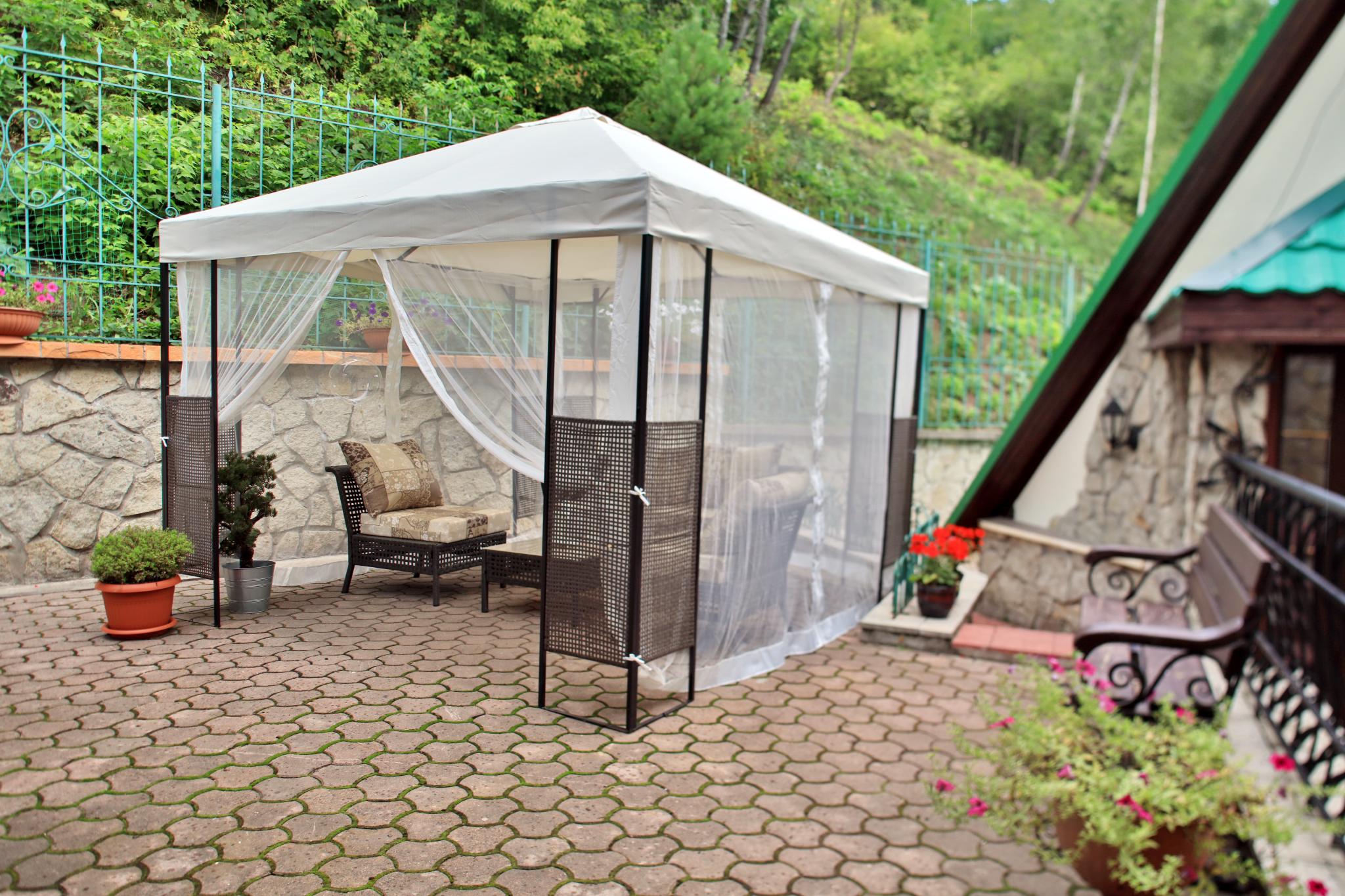 Фото Беркут