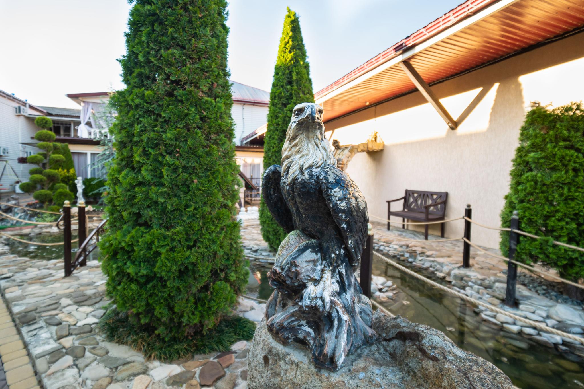 Фото Анютины Глазки