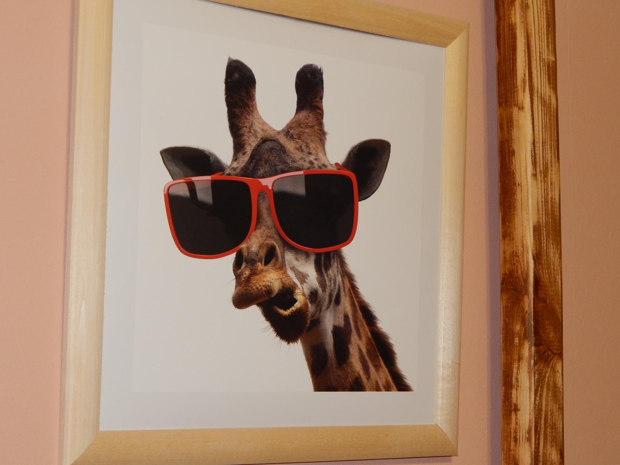 Фото Best Friends