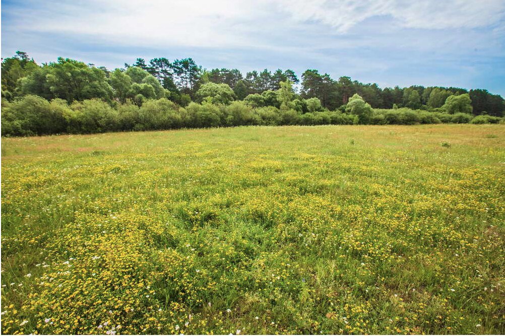 Фото Славянка