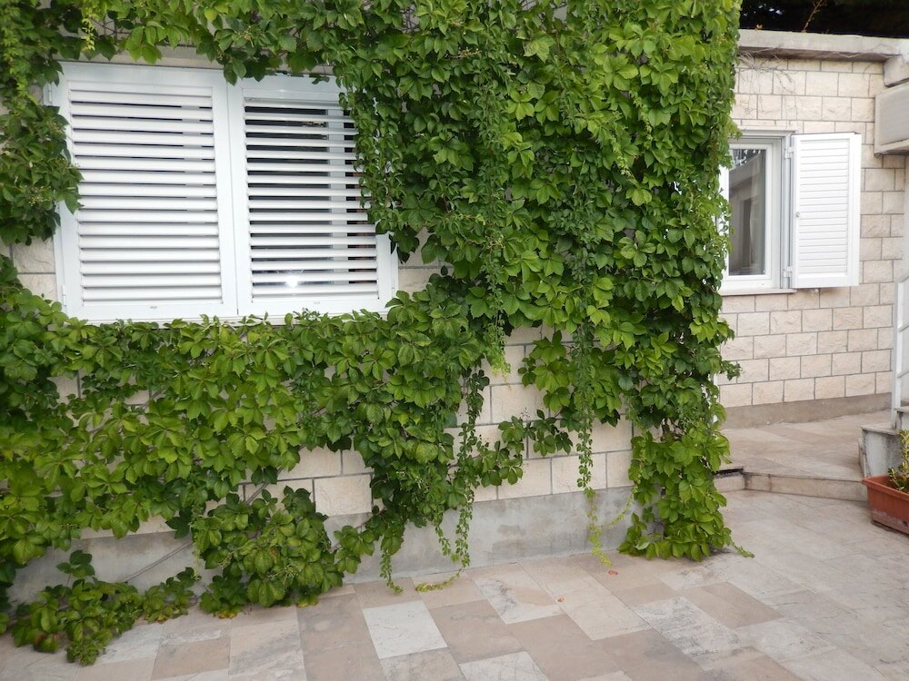 Фото Apartments Lepur