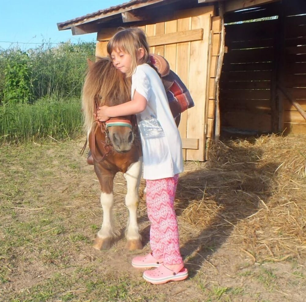Фото Müllers Ferienhaus Waldhof