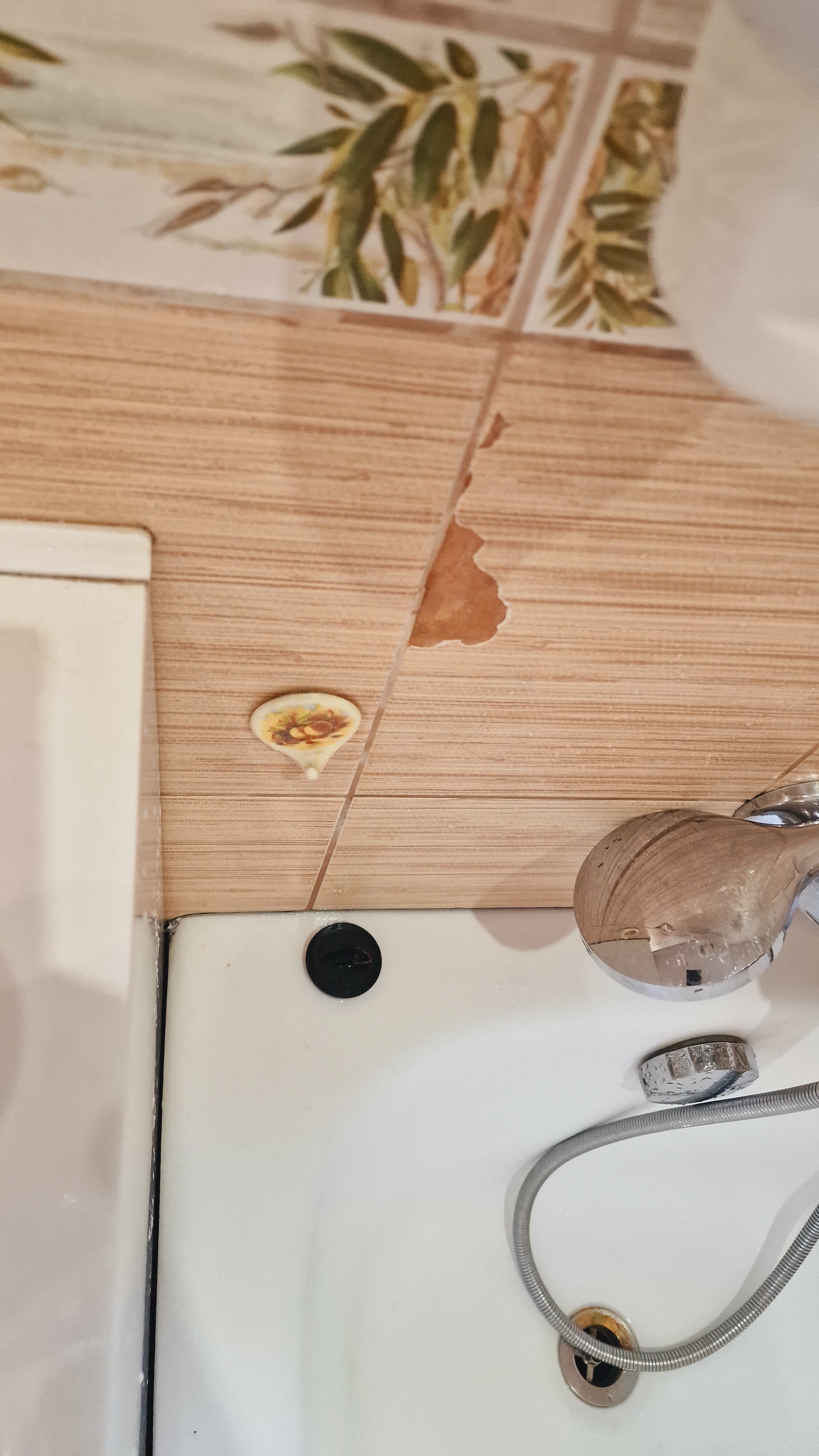 Фото Клуб путешественников