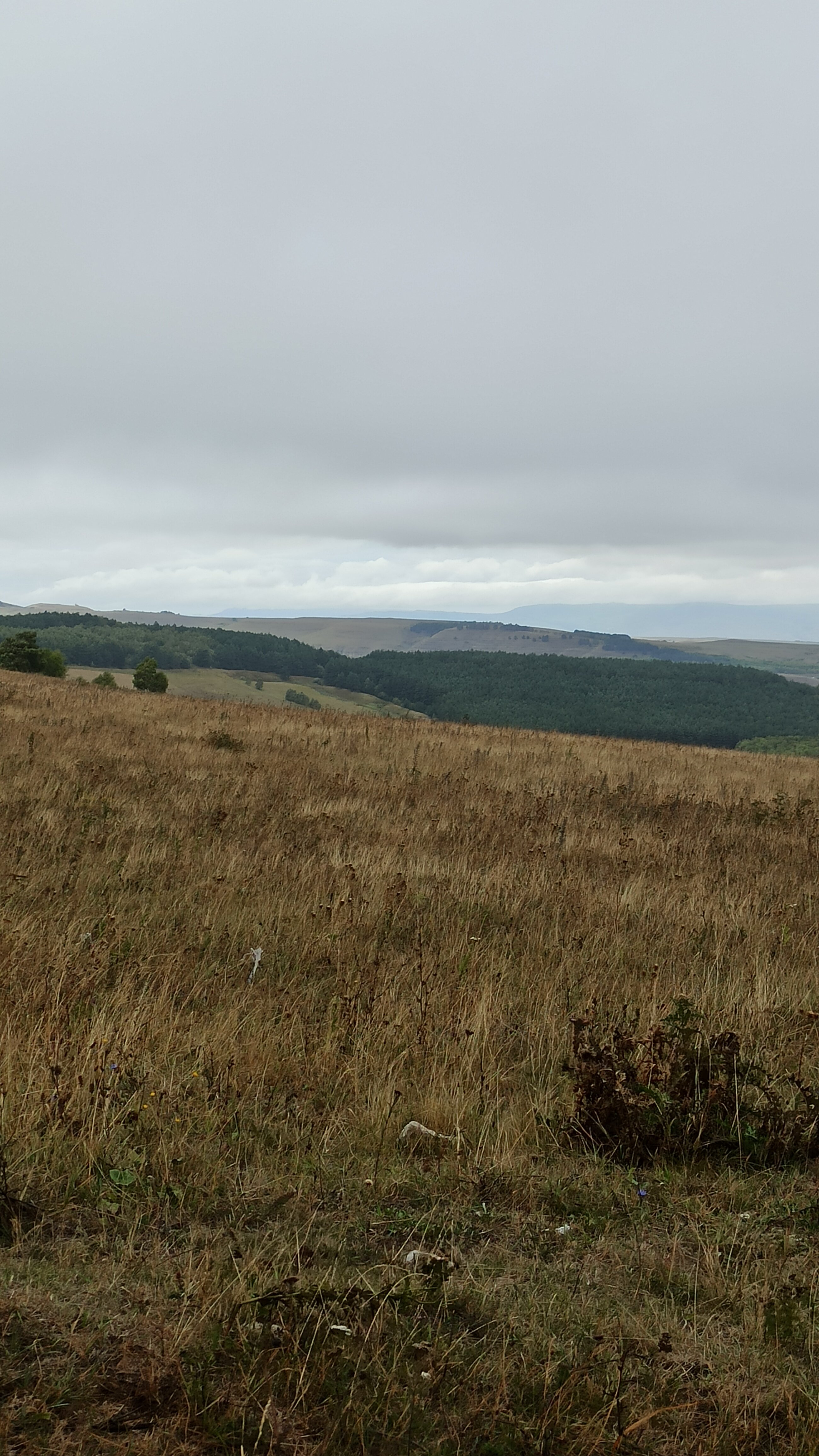 Фото Эко Хаус