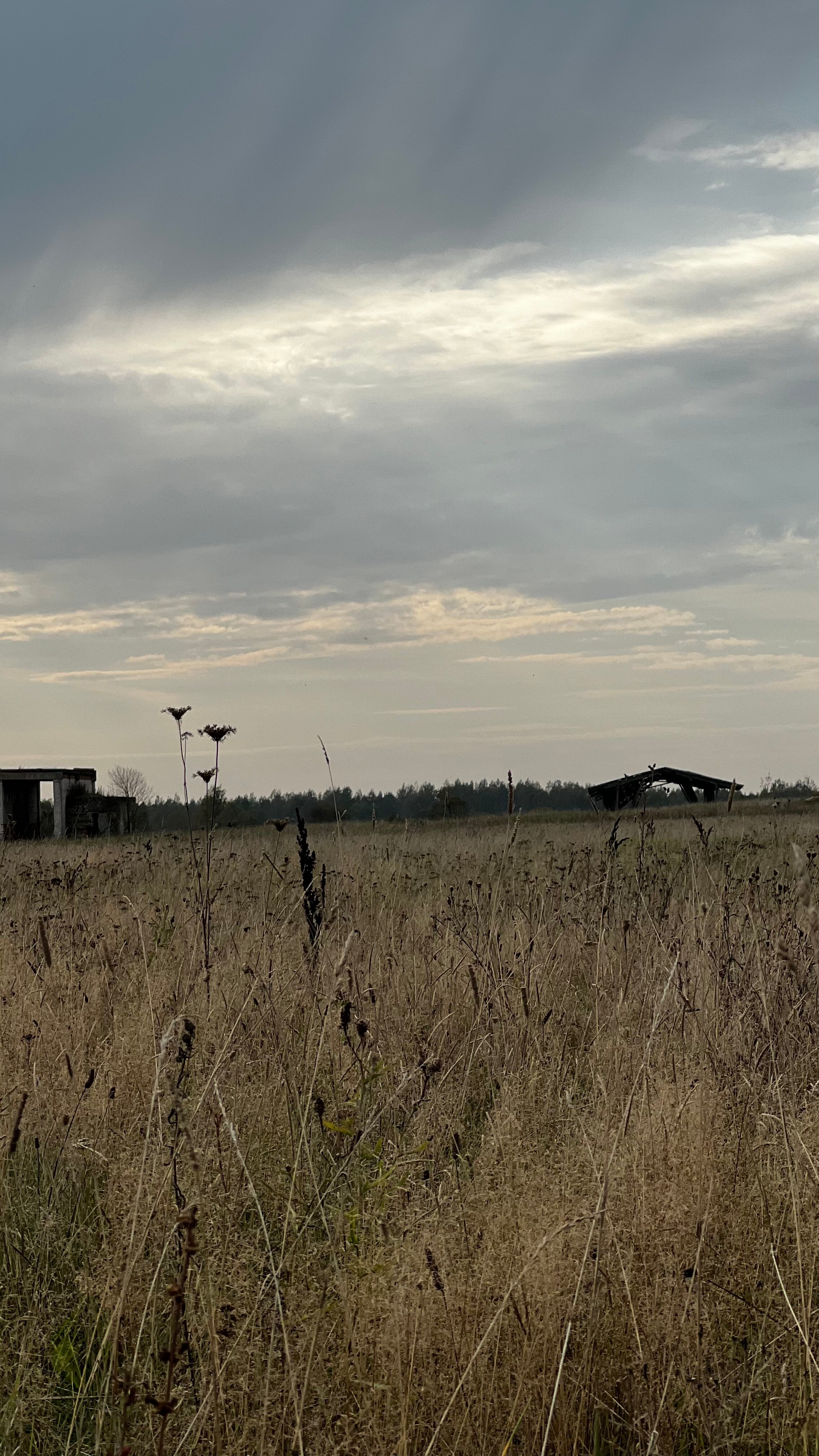 Фото Дом отдыха у реки Великой