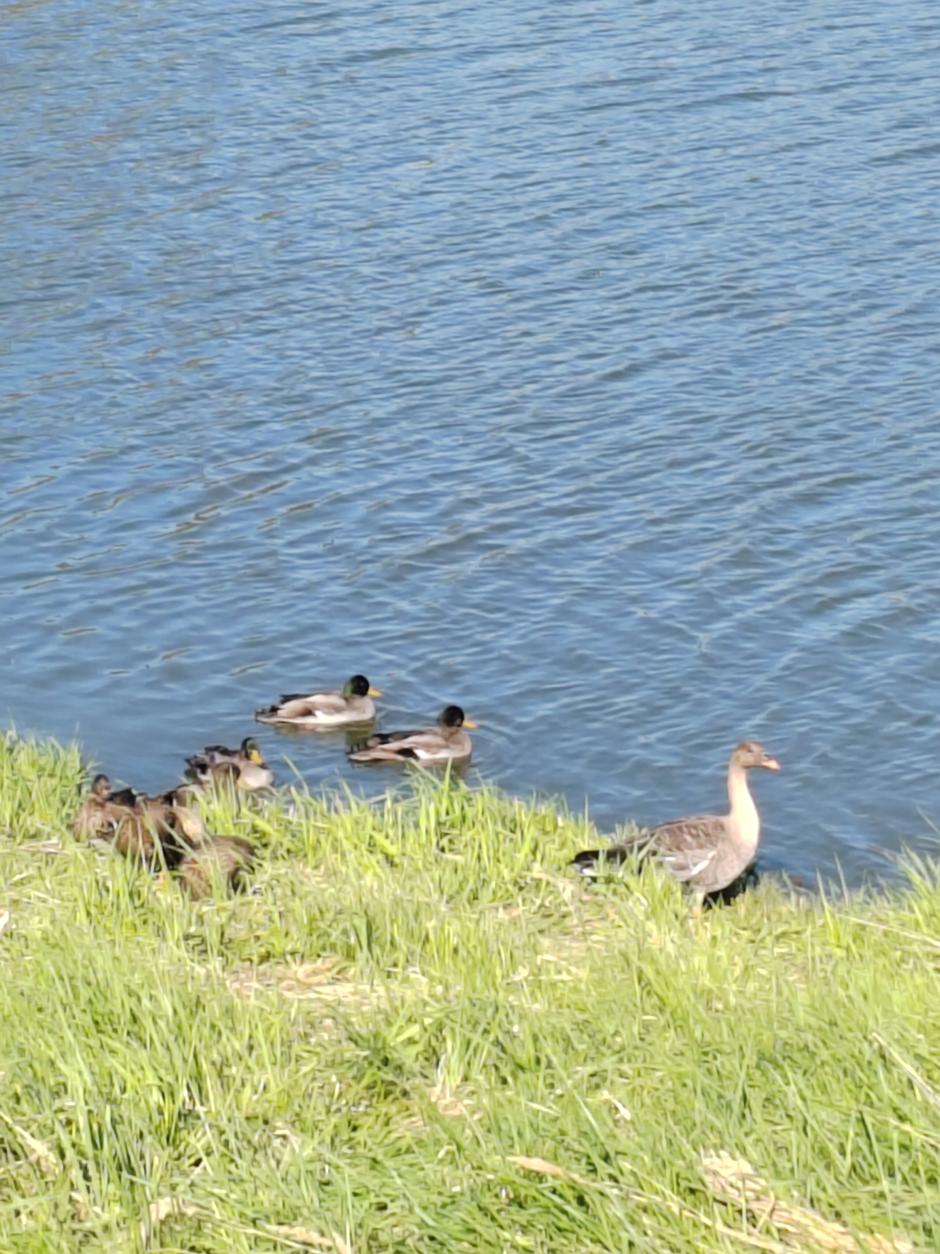 Фото Елисеевы поля