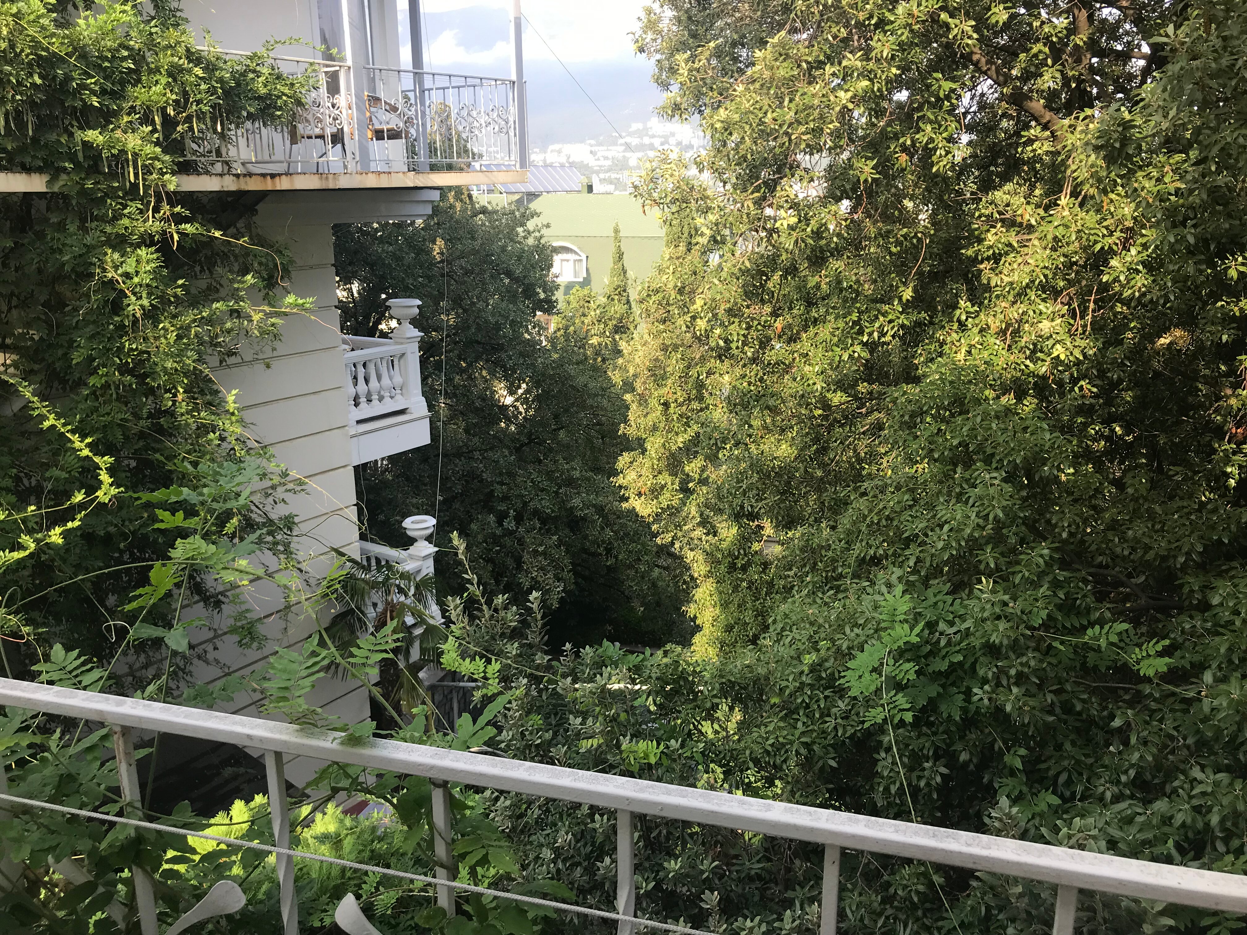 Фото Чайная горка