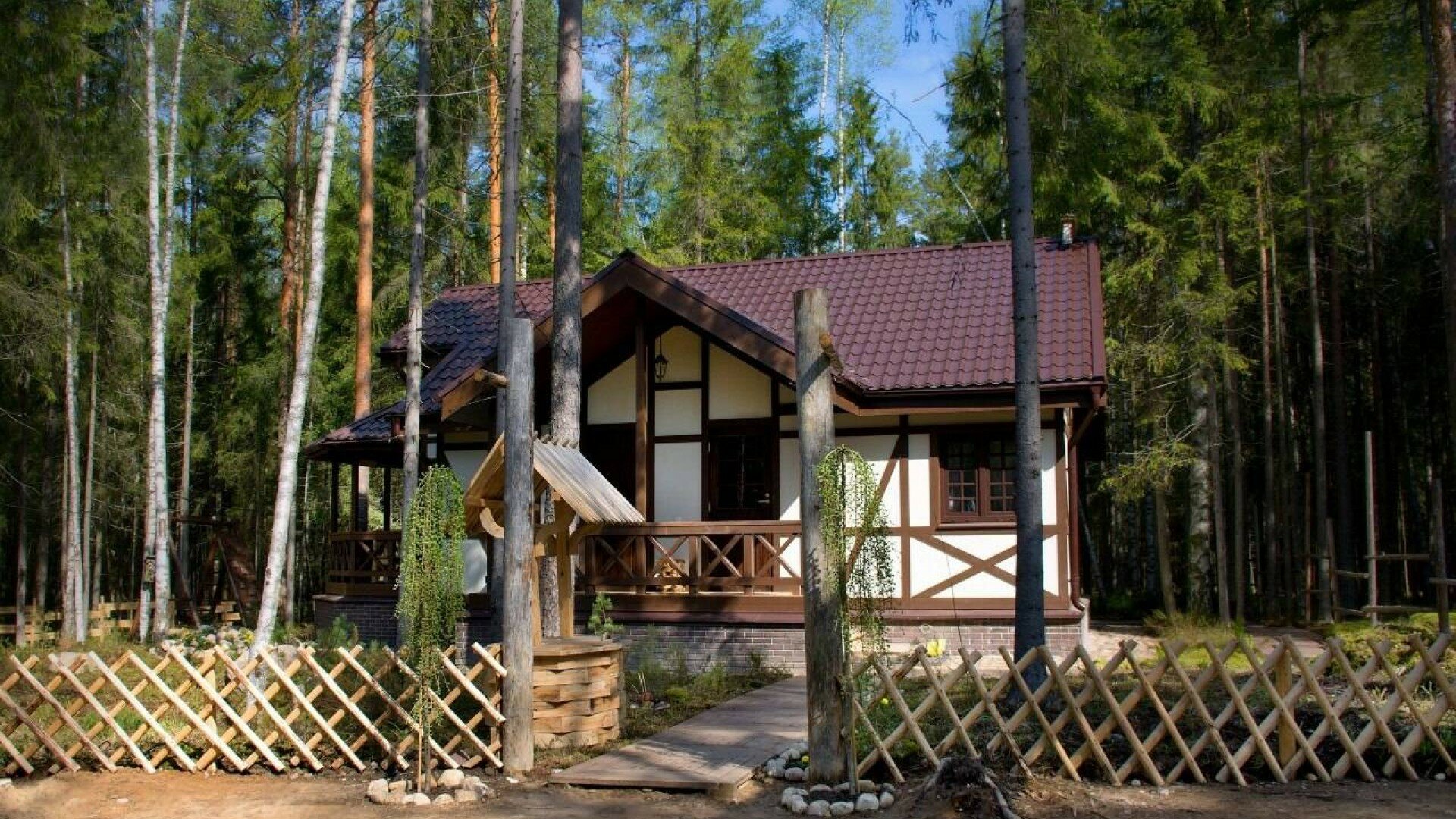 Фото Шишки на Лампушке