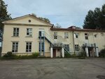 Межпоселенческая библиотека Лахденпохского Муниципального района (Lenina Street, 35), library