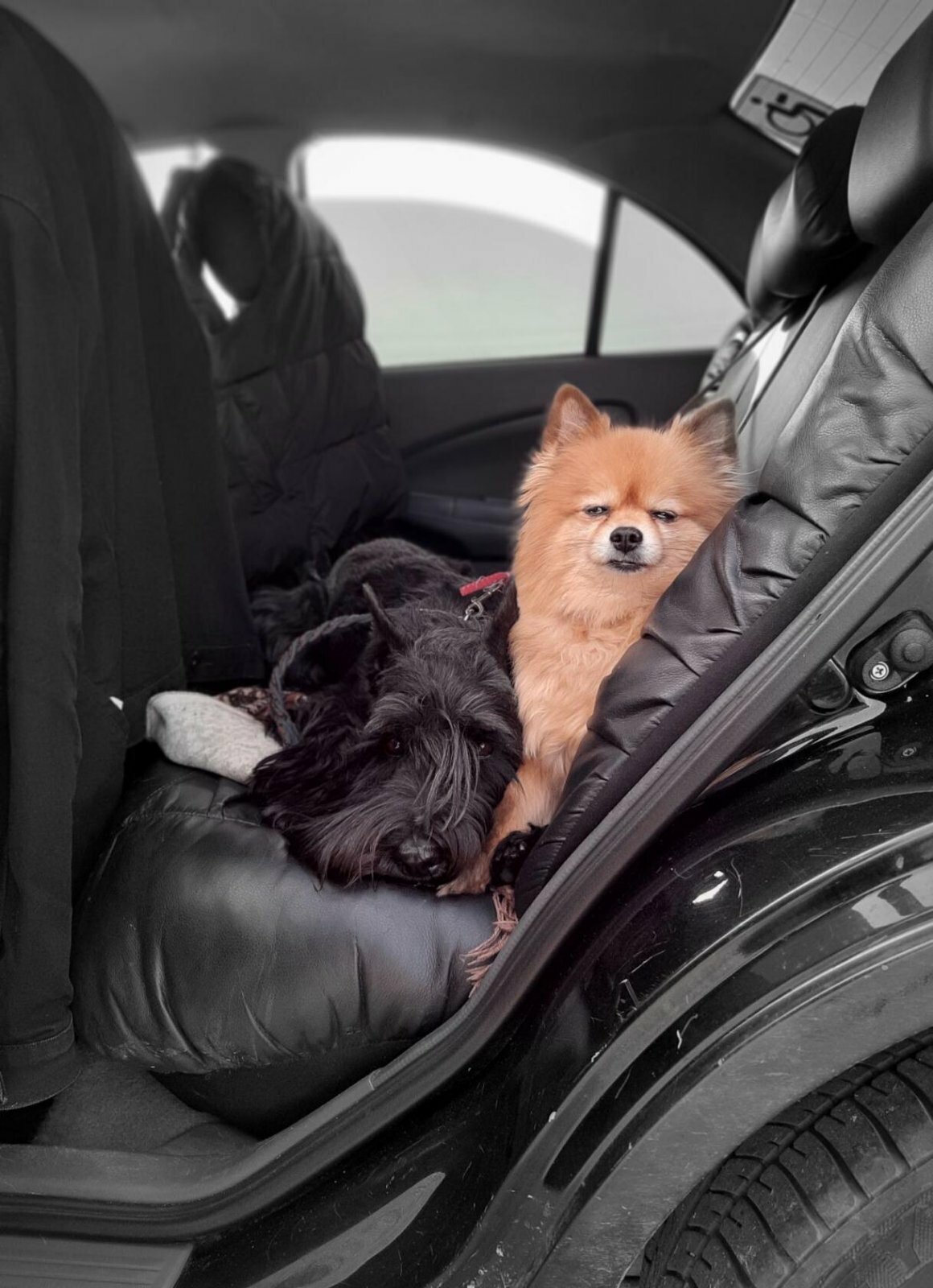 Фото Путник