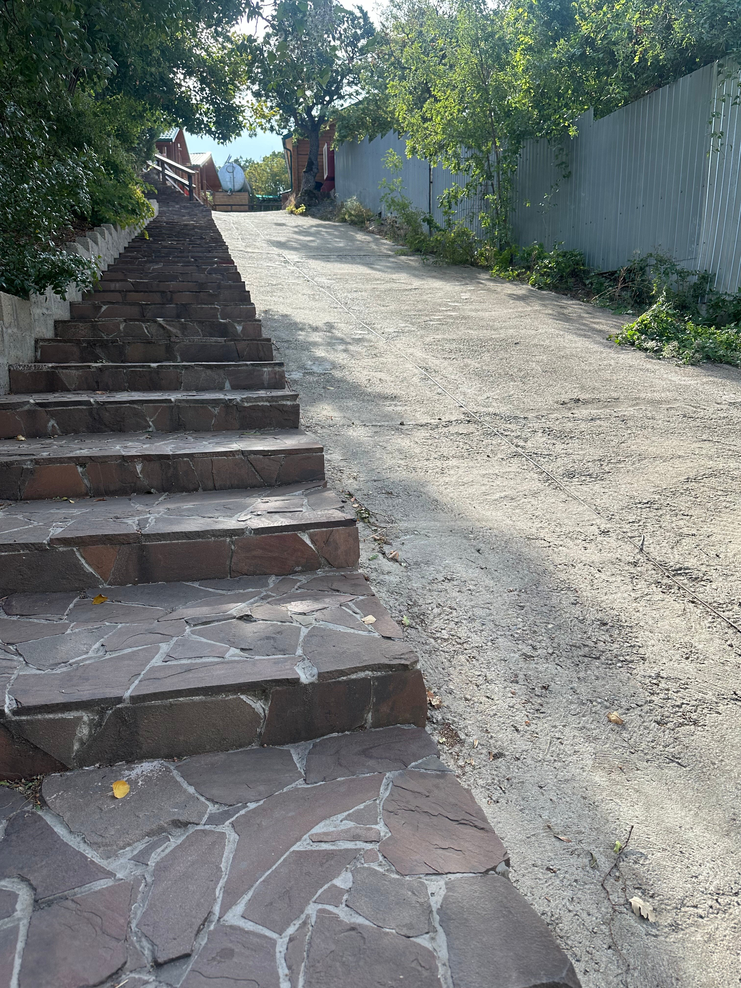 Фото Лесной дворик