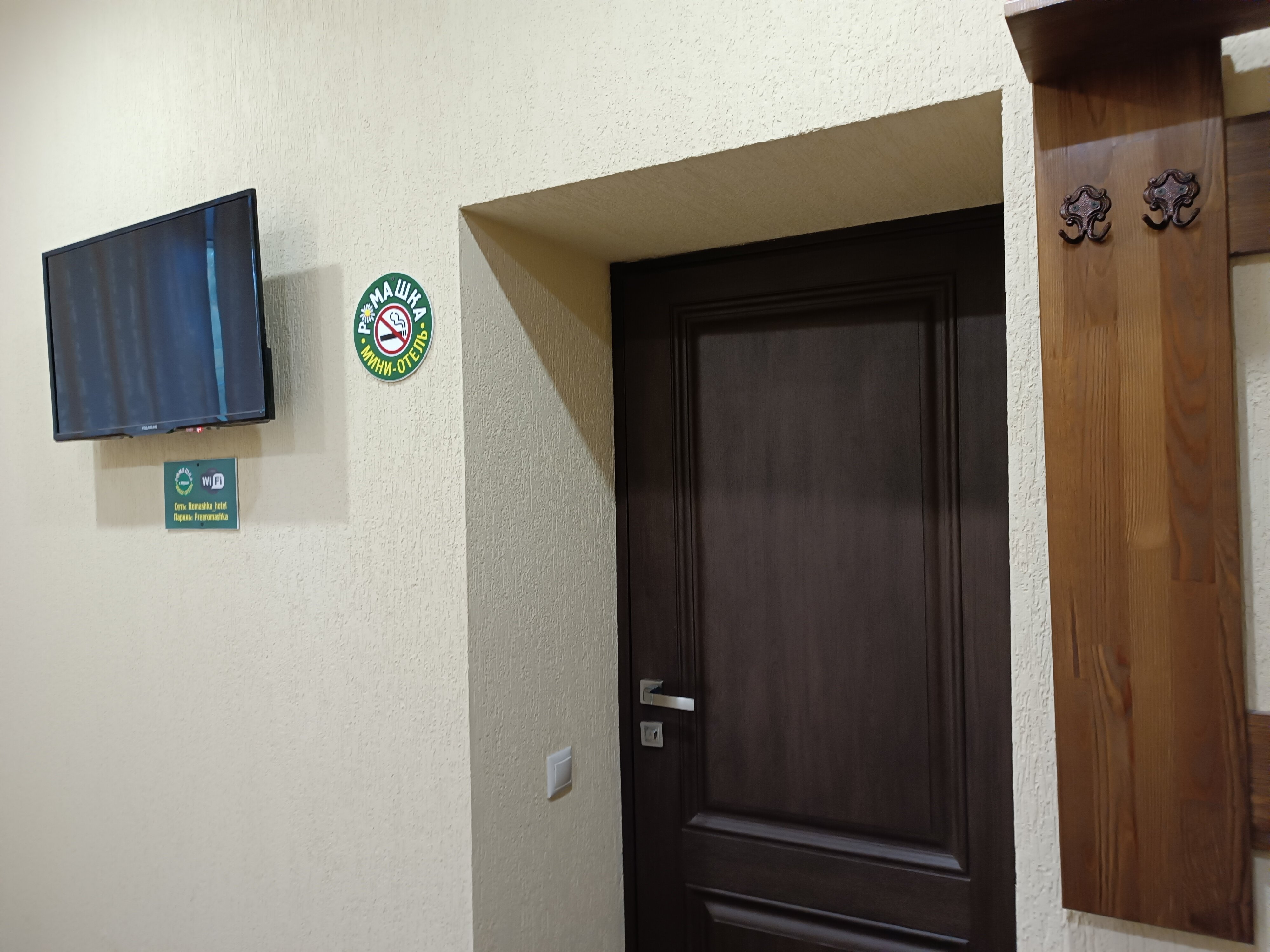 Фото Ромашка