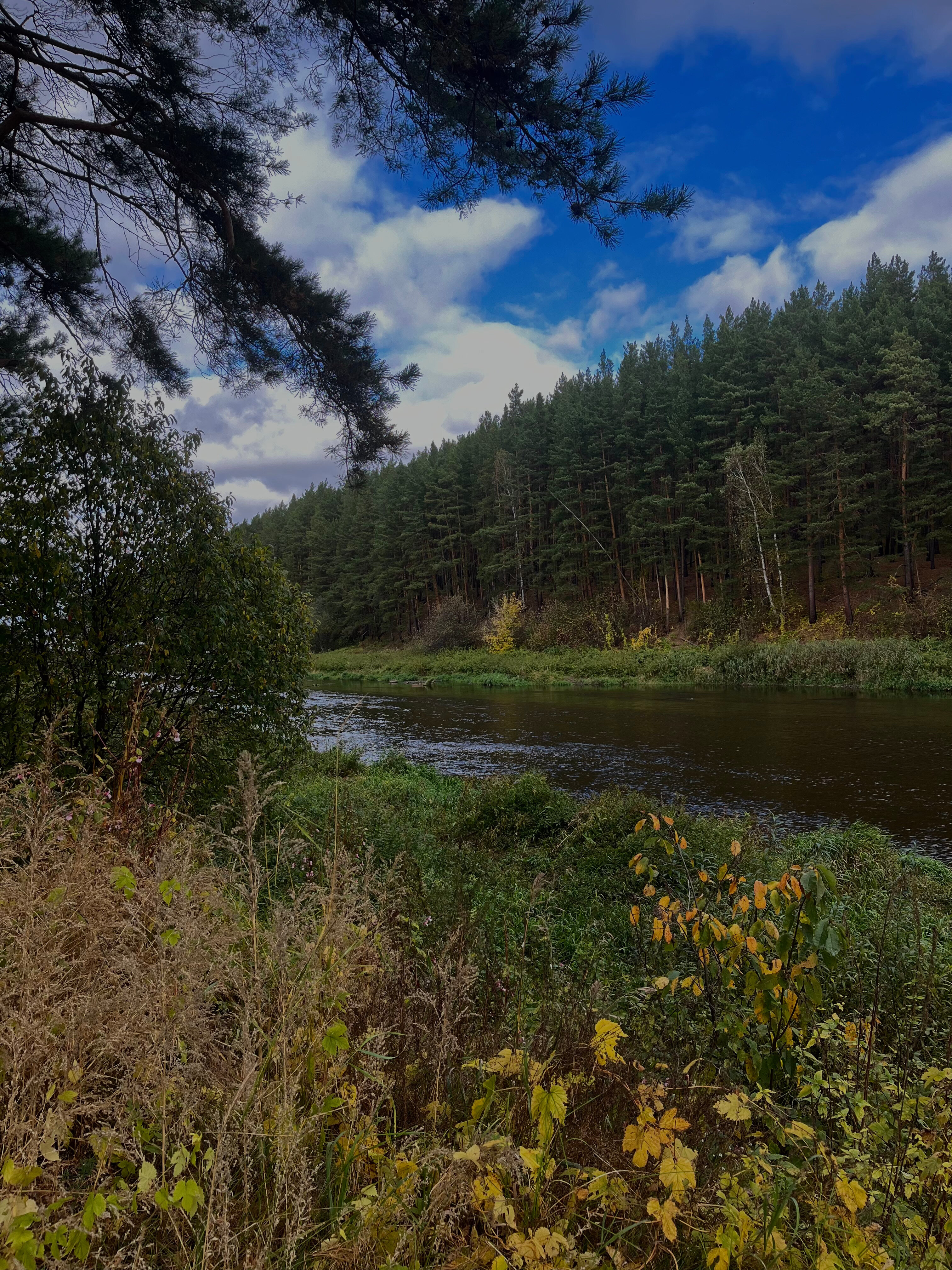 Фото Суеты. нет