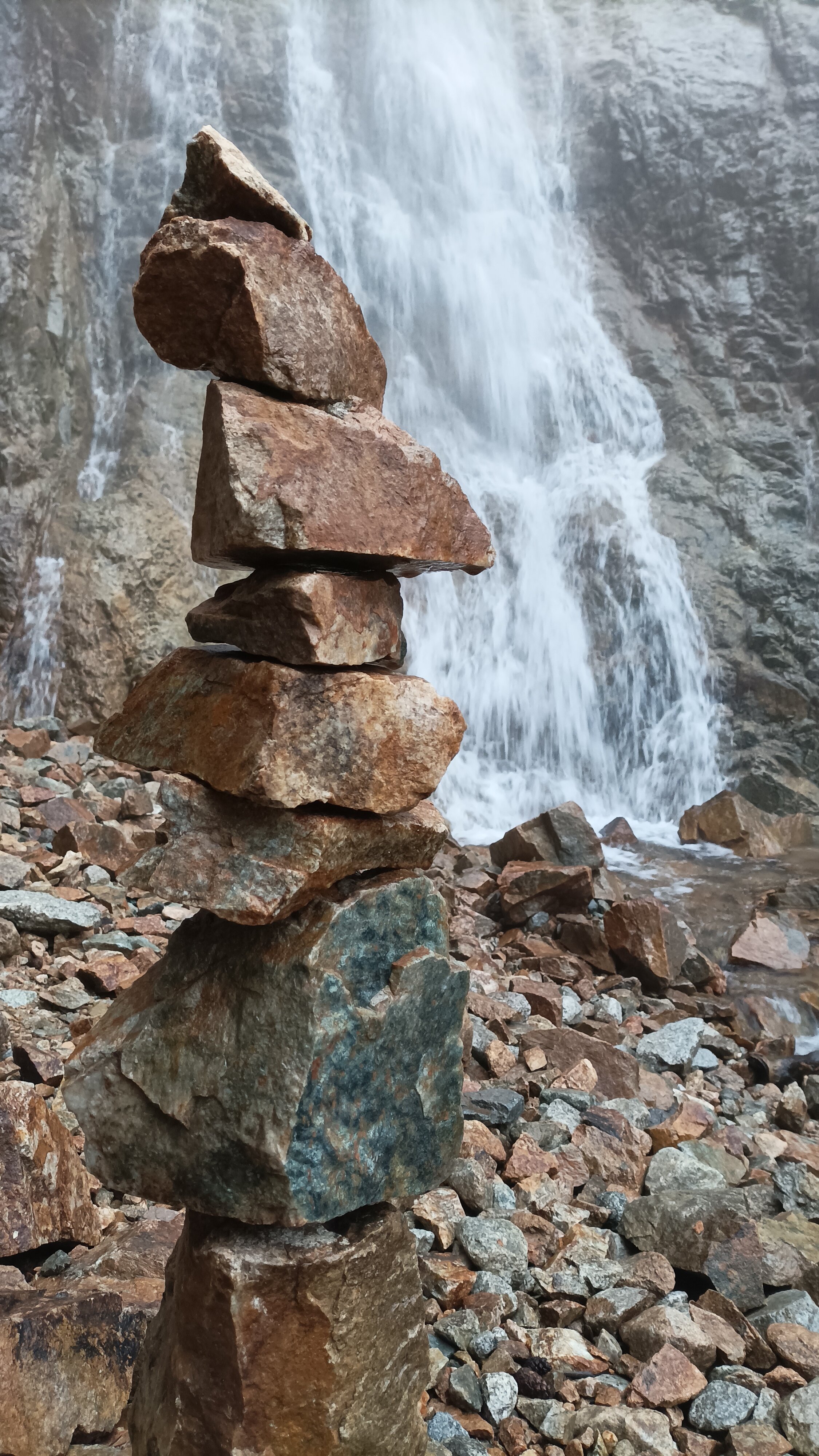 Фото Камелия-В