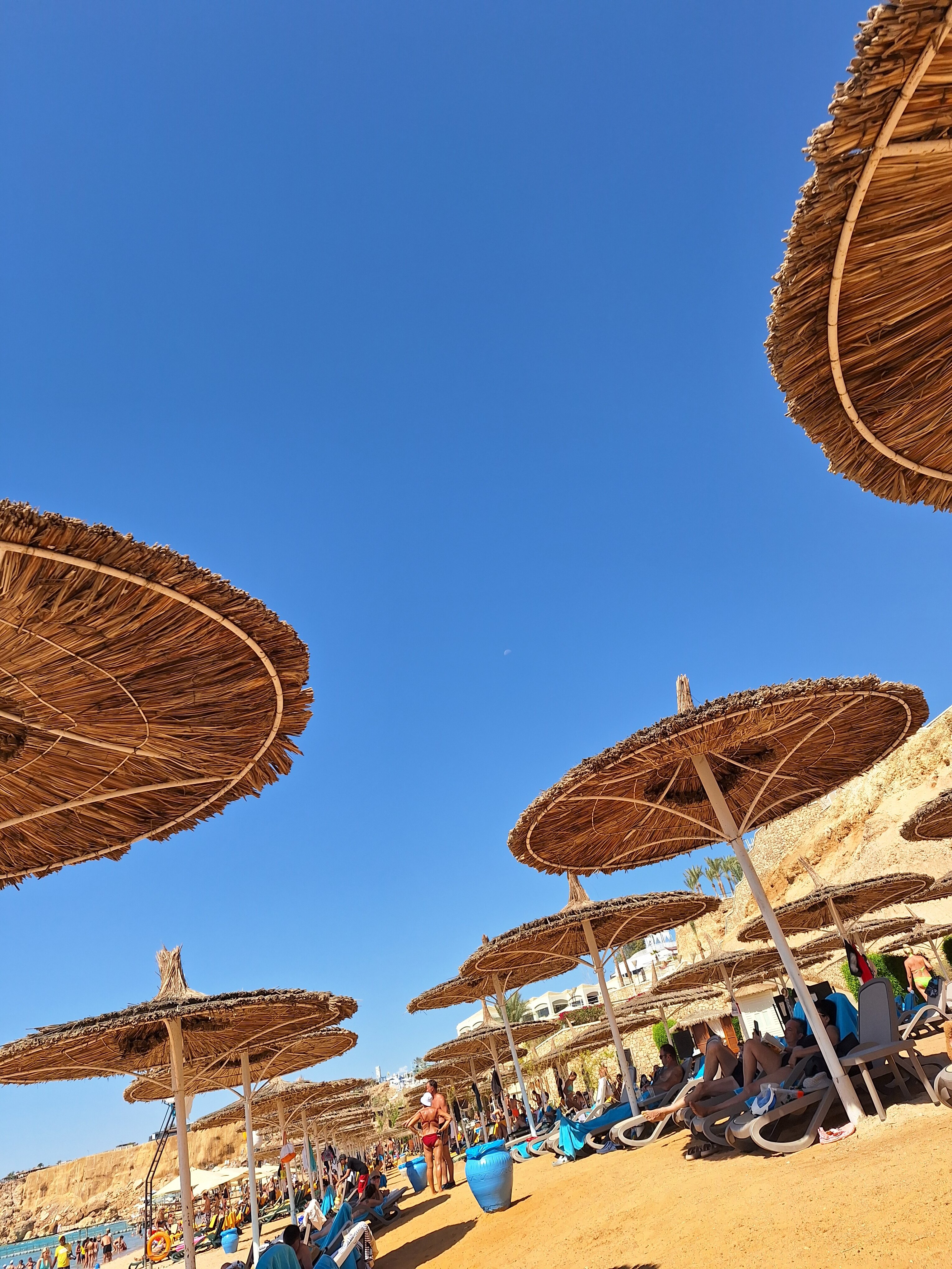 Фото Sentido Reef Oasis Senses Aqua Park Resort