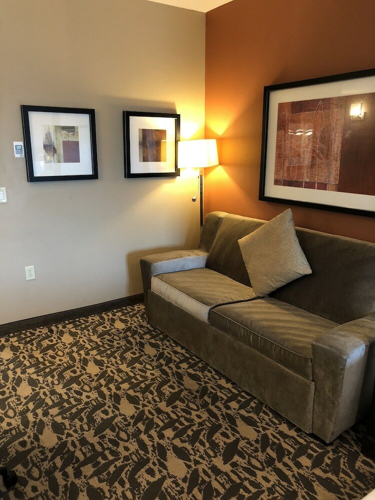 Фото Holiday Inn Express & Suites North Dallas at Preston, an Ihg Hotel