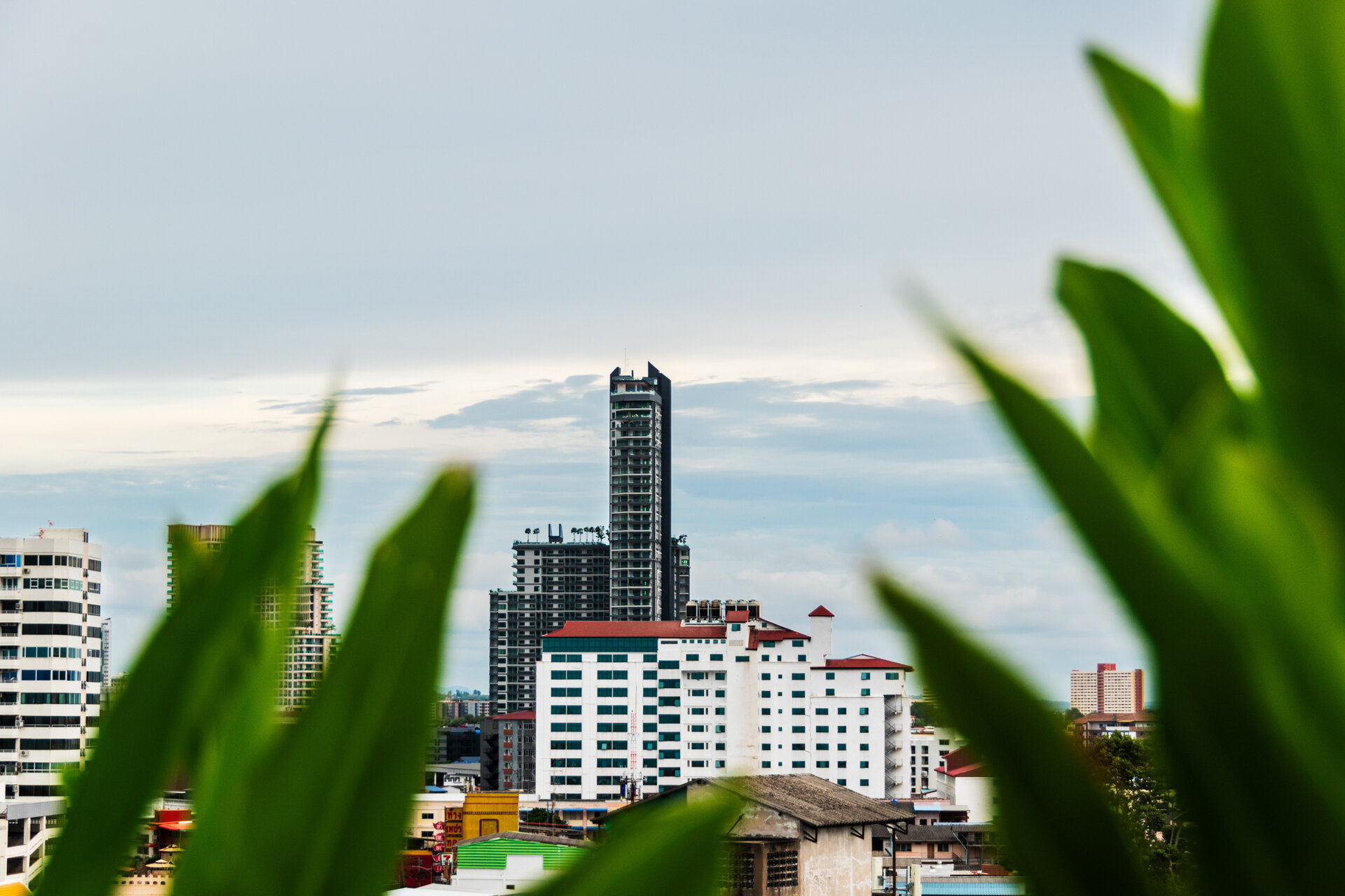 Фото Arcadia Millennium Tower by Psr