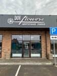 Dov Flowers (bulvar Velikoy Pobedy, 45), flower shop