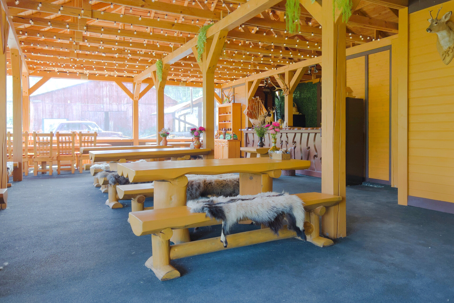 Фото База отдыха Басаргино