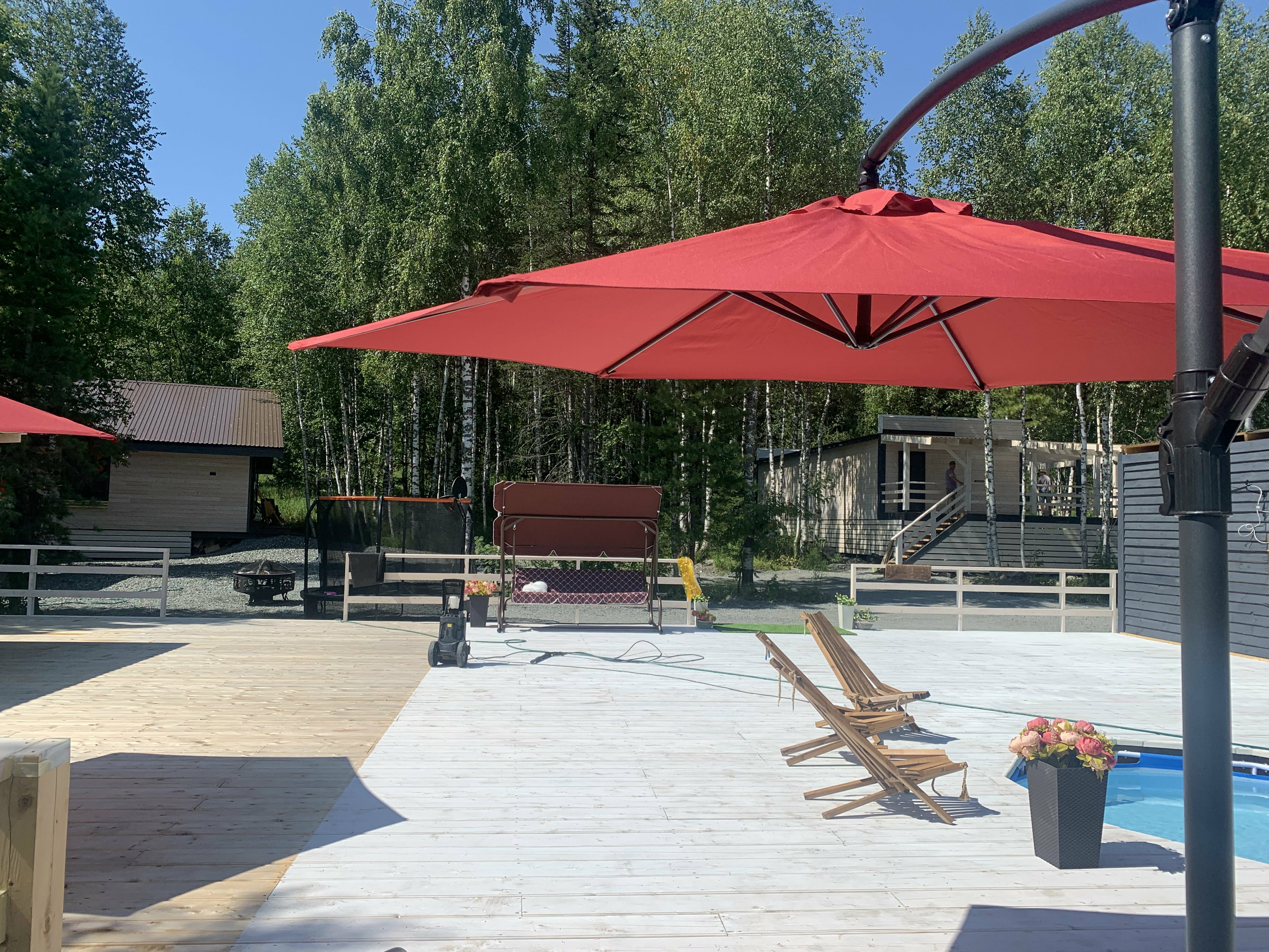 Фото Брусника № 1