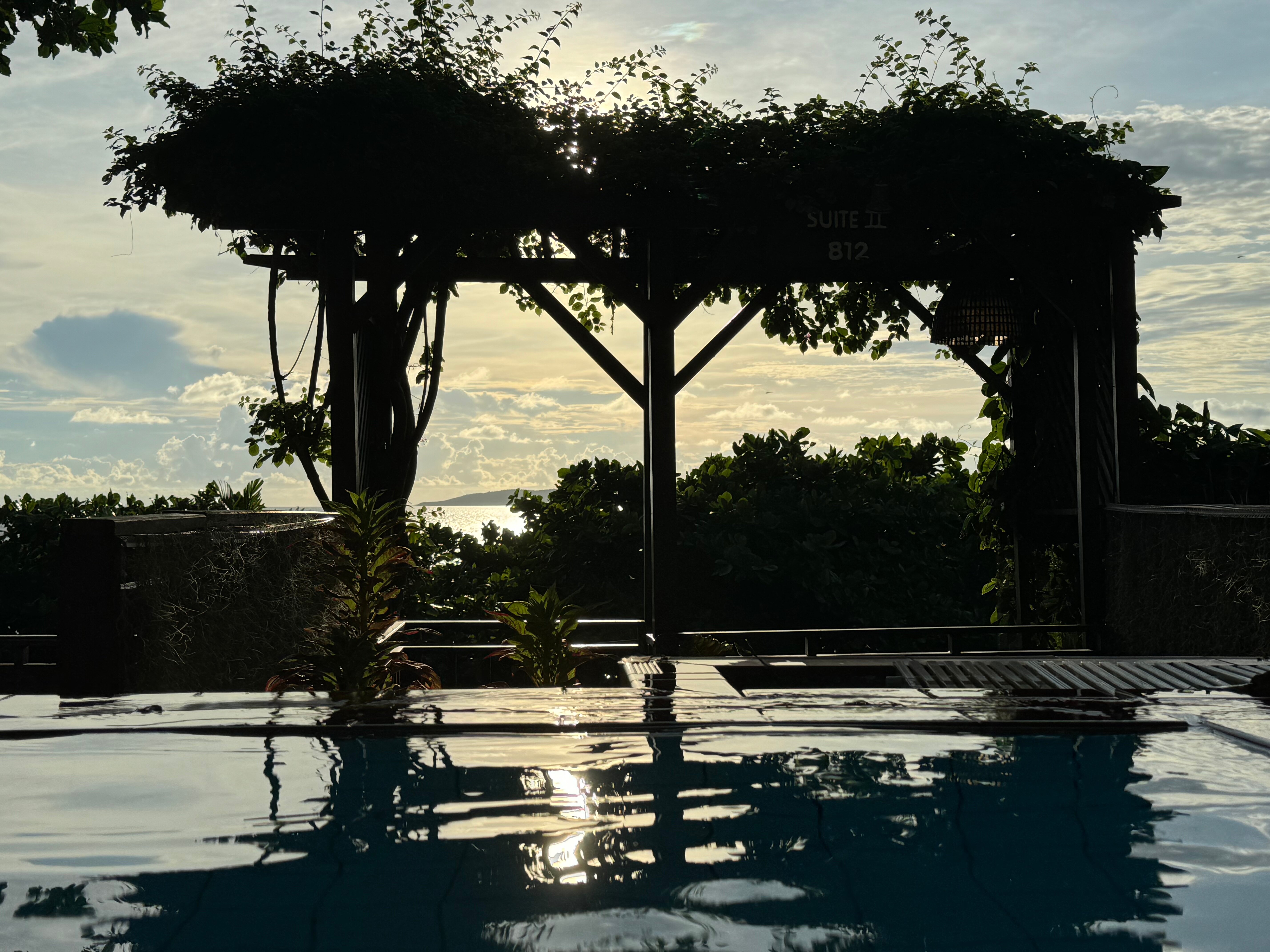 Фото Birds and Bees Resort