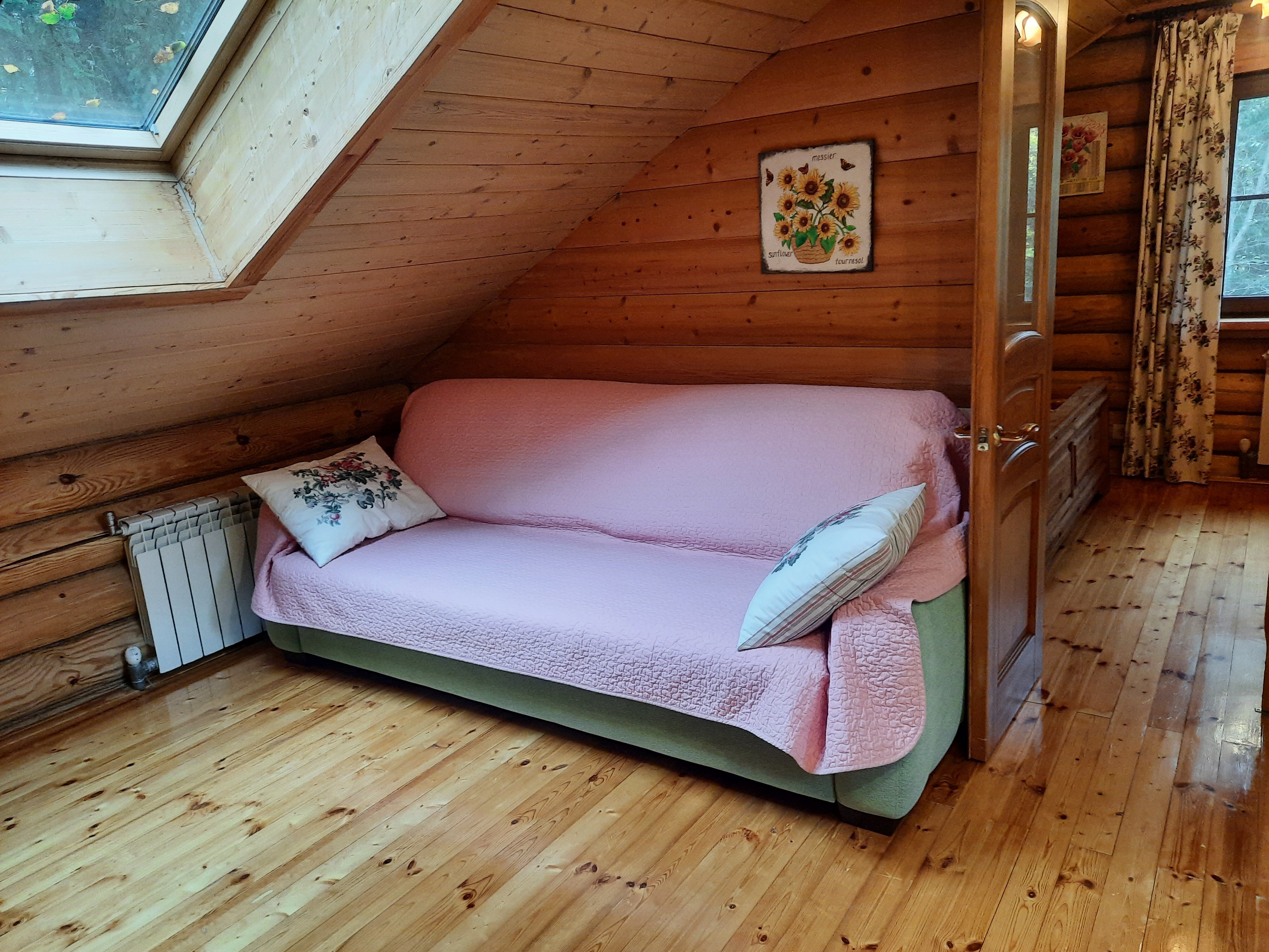 Фото Дикий Лис