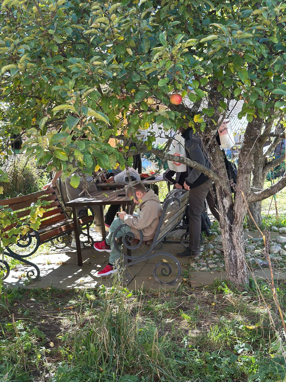 Фото Сказка Снежных Вершин