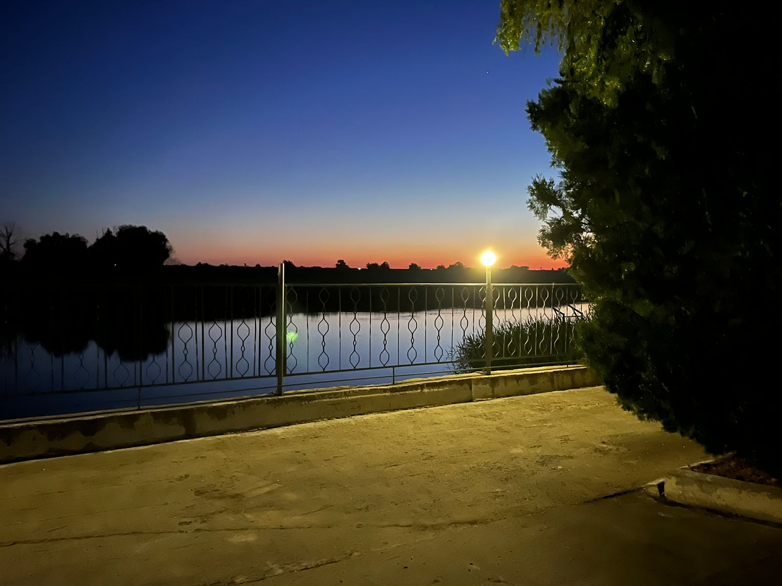 Фото Терраса