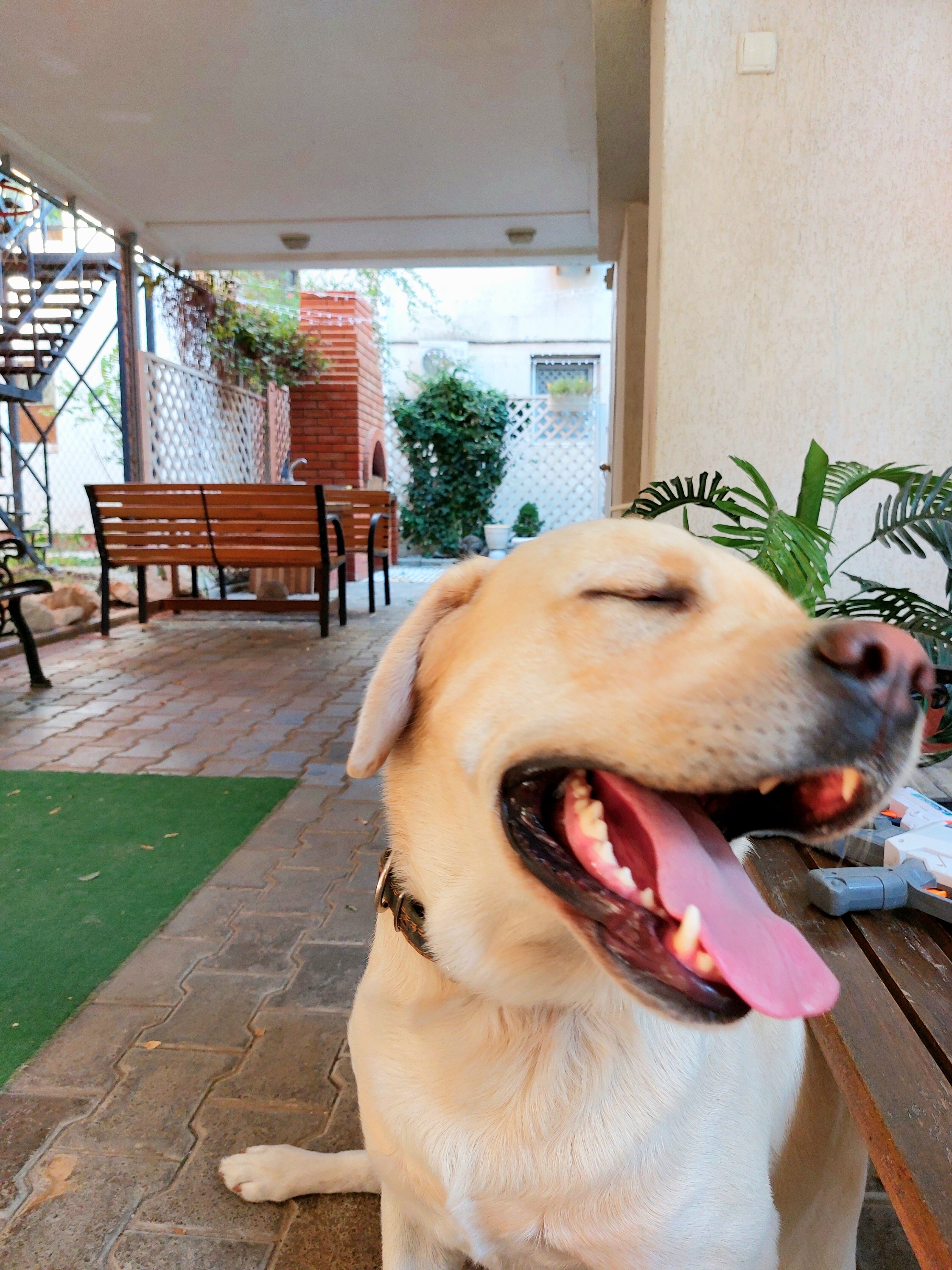 Фото Саксония