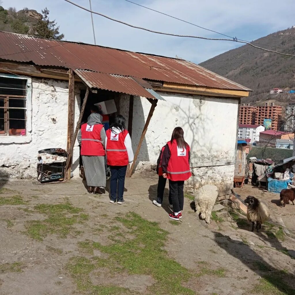 Associations and industrial unions Kizilay-Trabzon Branch, Ortahisar, photo