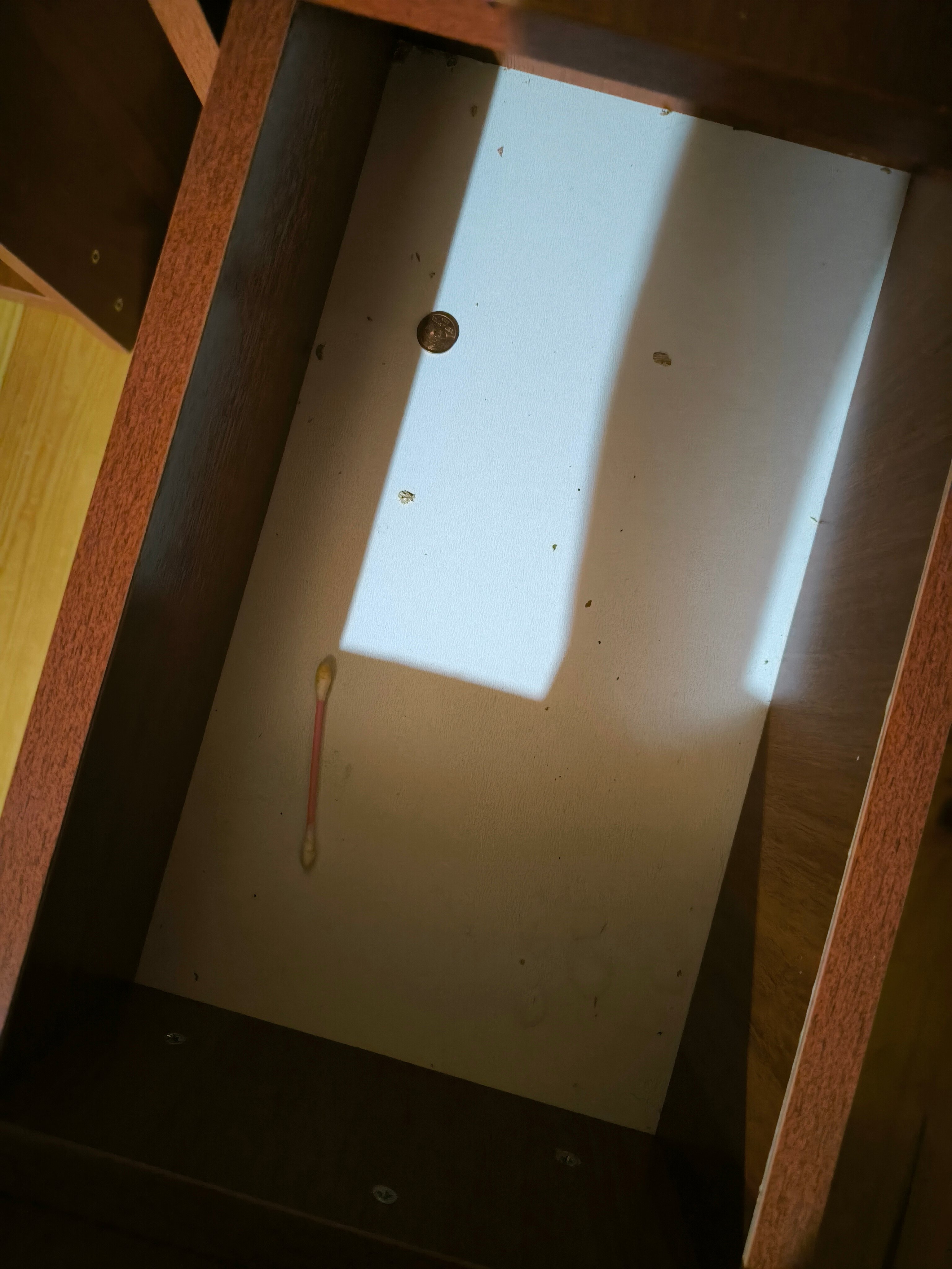 Фото Феникс