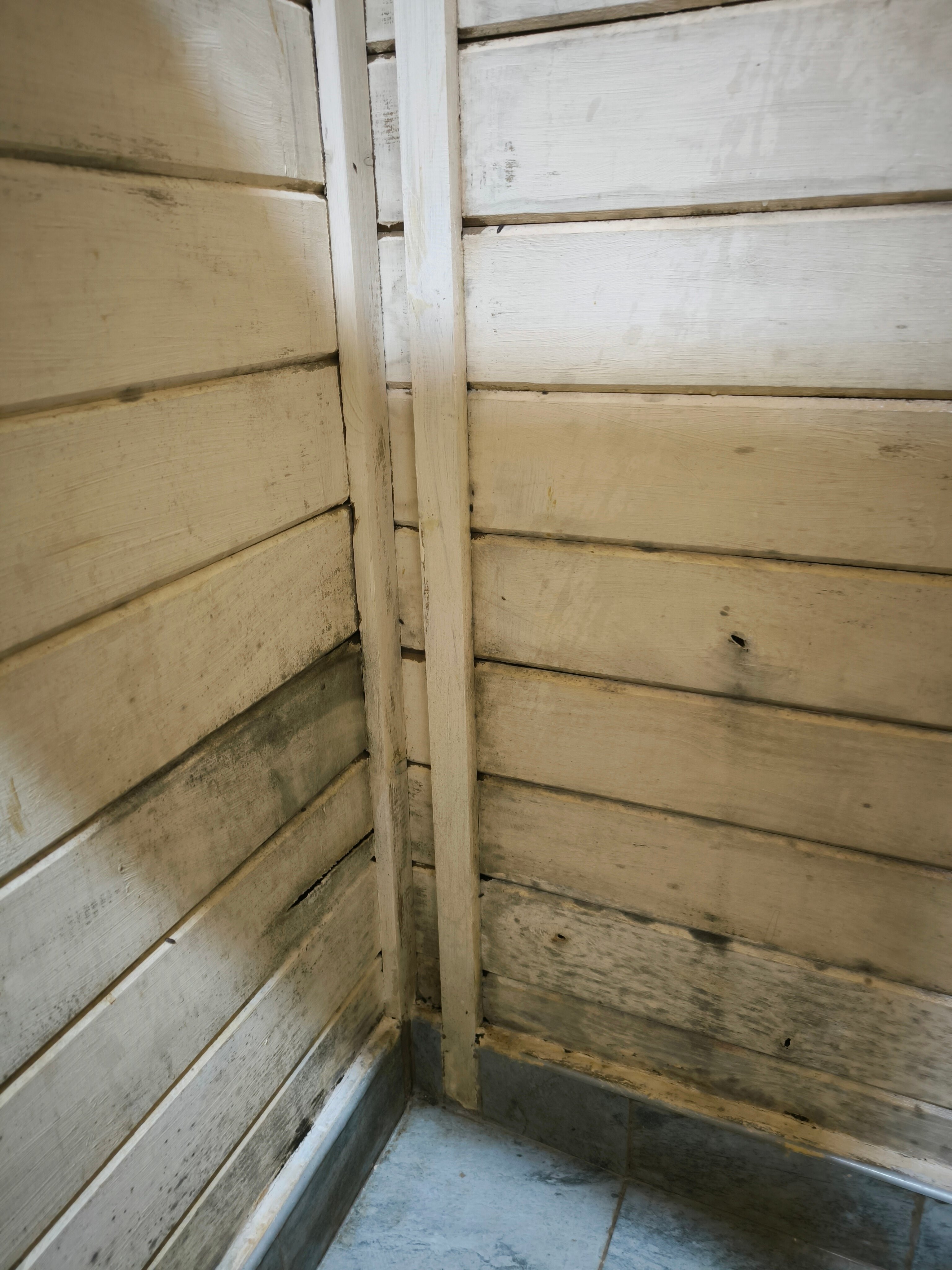 Фото Феникс