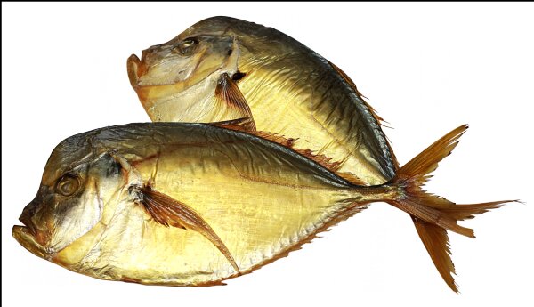 Fish and seafood LotsmaN, Smolensk, photo