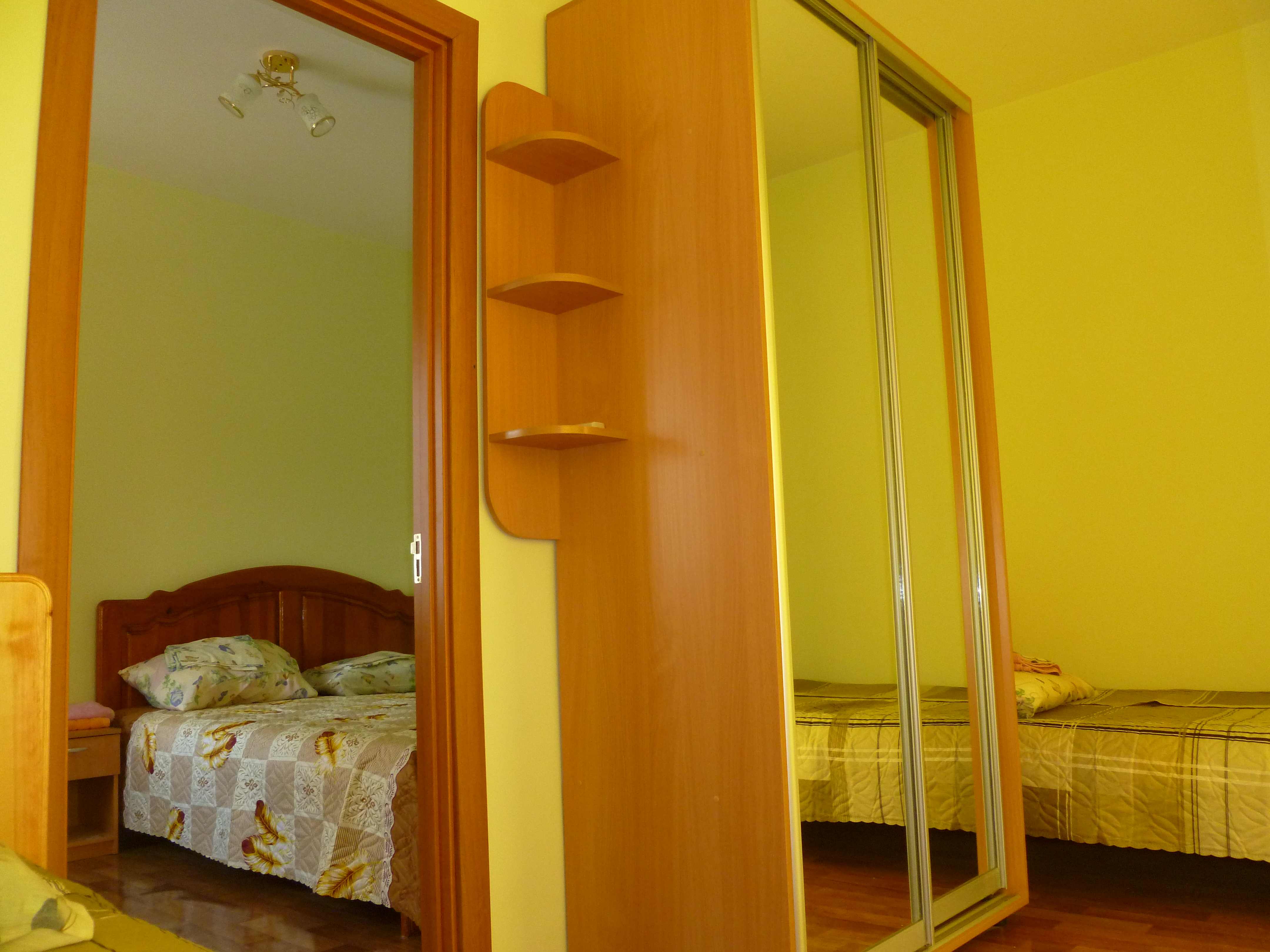 Фото Дельфиниум