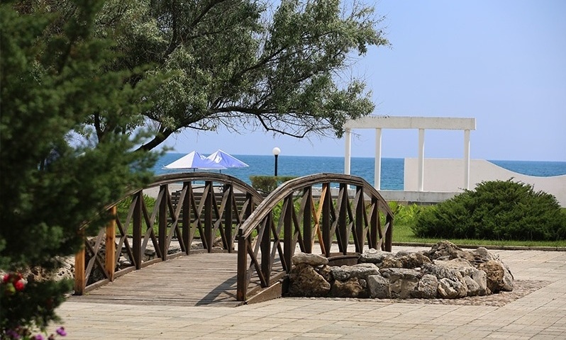 Фото Возрождение