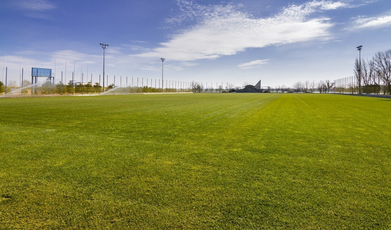 Фото Возрождение