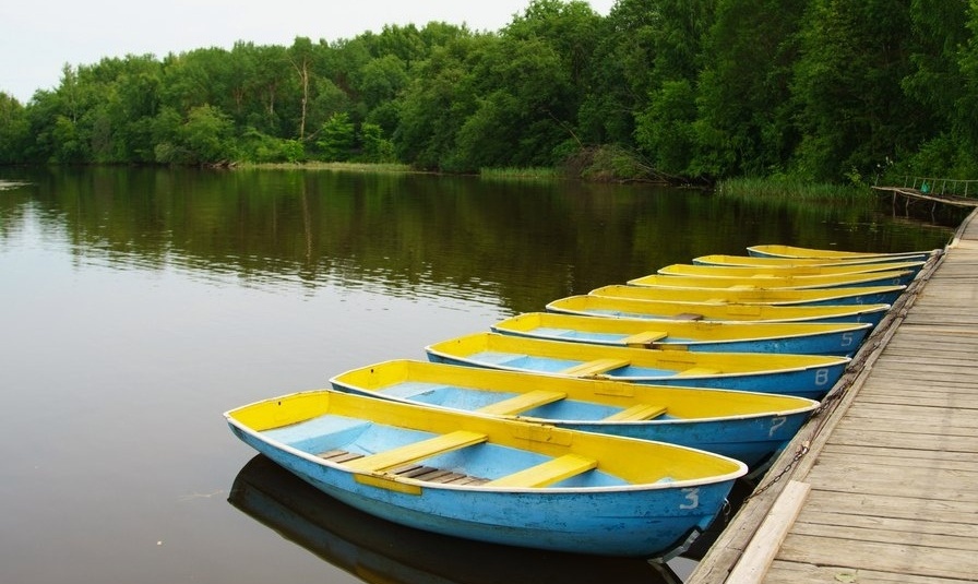 Фото Парк-отель Волжский прибой