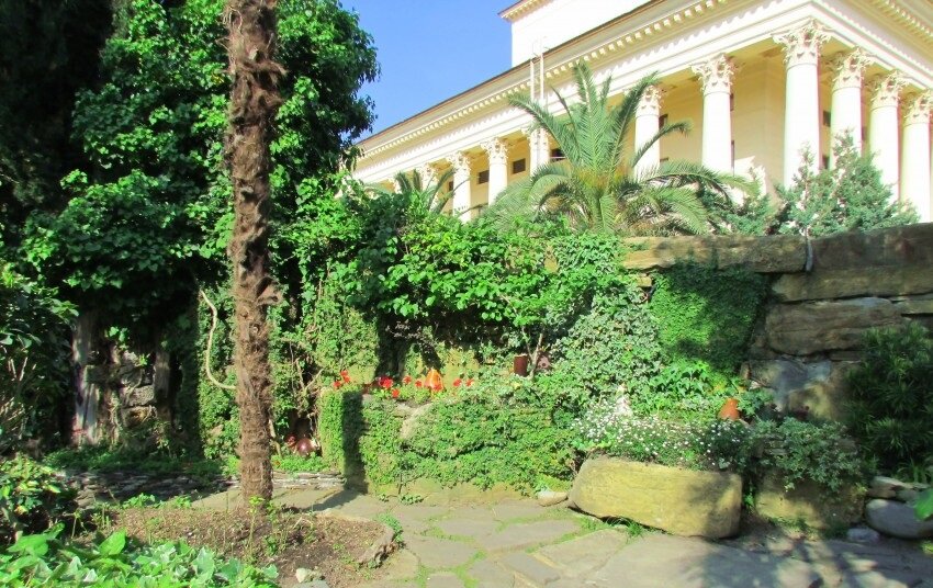Сады сочи краснодарский край сочи фото