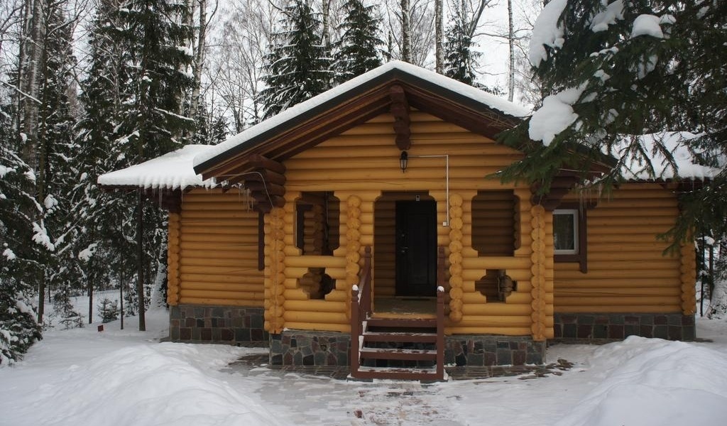 Фото Берёзовая роща