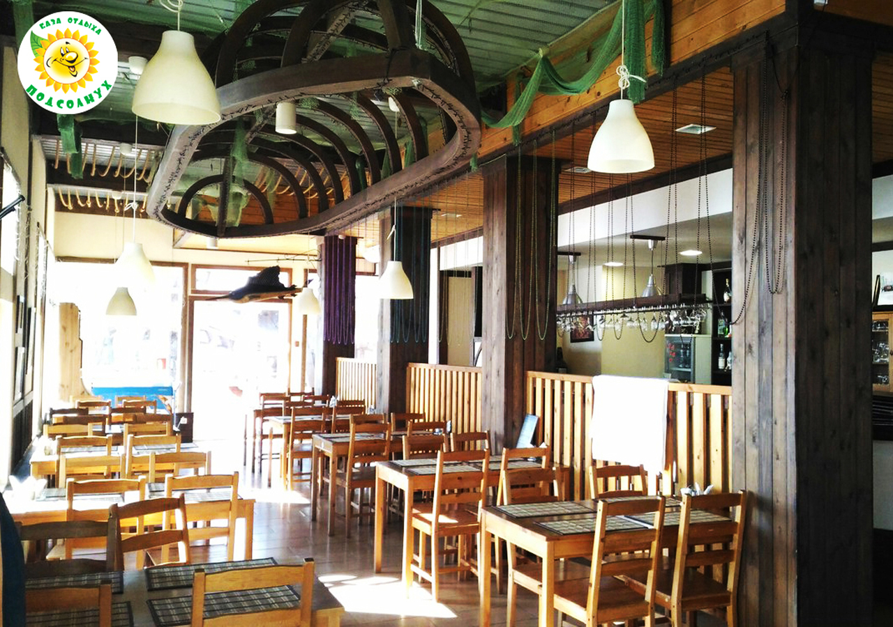 Фото Подсолнух