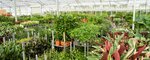 Ok-Plants.ru (Pushkaryov Lane, 15) ، شركة الإدارة