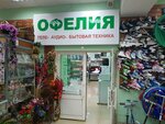 Офелия (Пролетарская ул., 108, Саранск), магазин бытовой техники в Саранске