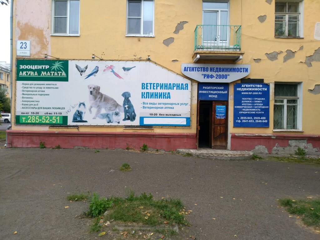 Pet shop Veterinarnaya klinika Ryzhy kot, Krasnoyarsk, photo